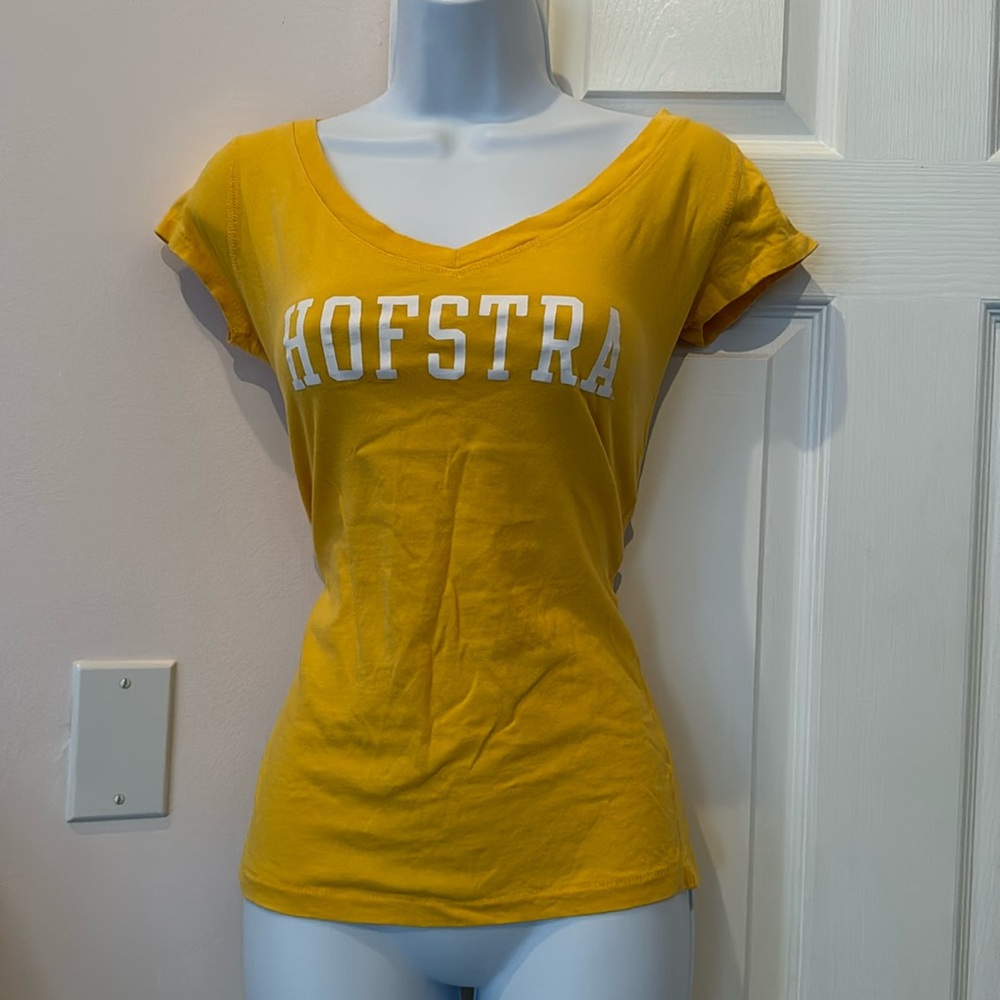 Hofstra T